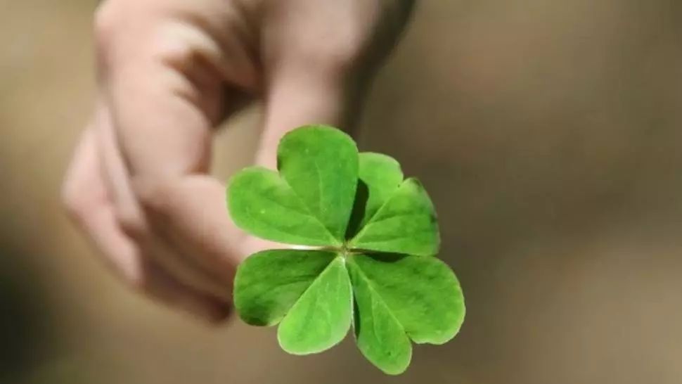 Horoscop 1 mai. Zodia care trece prin schimbări majore. Astrele sunt de partea sa