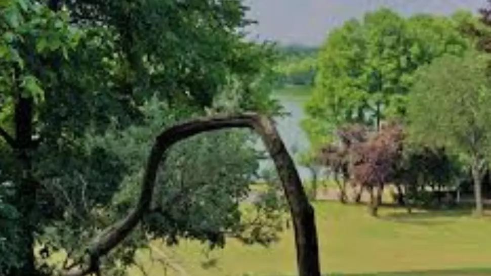 De vineri avem liber la plimbare. Toate parcurile se REDESCHID din 15 mai