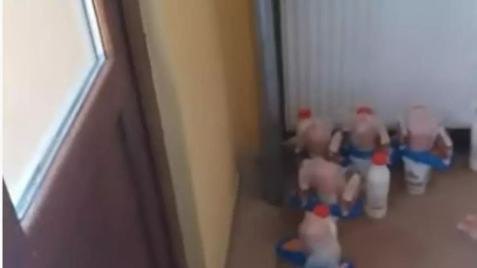 VIDEO Scandal la un centru de carantină din Galați: oamenii acuză că primesc mâncare alterată