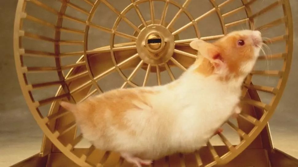 Laurențiu Botin: Doreii din lumea lor