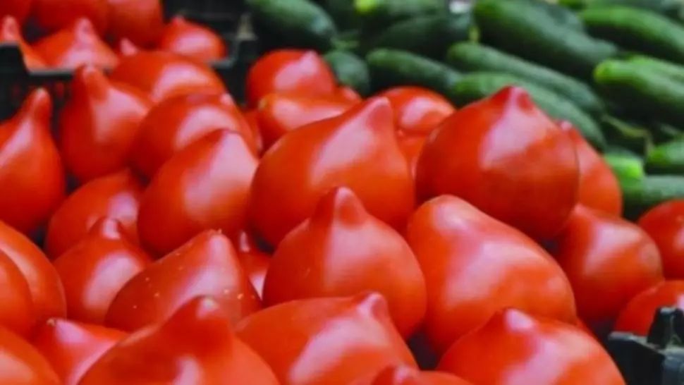 Motivul uluitor pentru care NU trebuie să mai cumperi roșii țuguiate