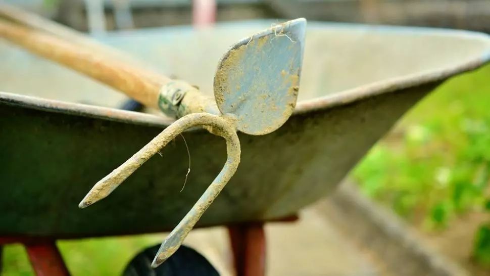 Culmea justiției. Poliţist lovit cu sapa în zona capului, considerat vinovat de procuror