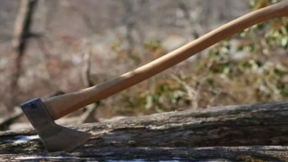 Bătaie cu topoare, la o stână din județul Dâmbovița: un mort. De la ce a pornit cearta dintre ciobani 