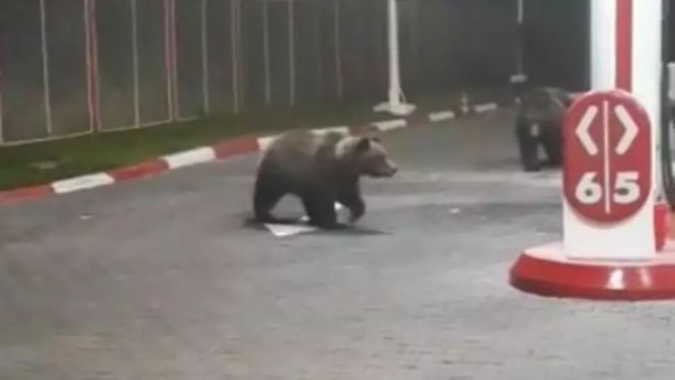 RO-ALERT de URȘI în Harghita, oamenii sunt sfătuiți să fie atenți dacă ies pe străzi