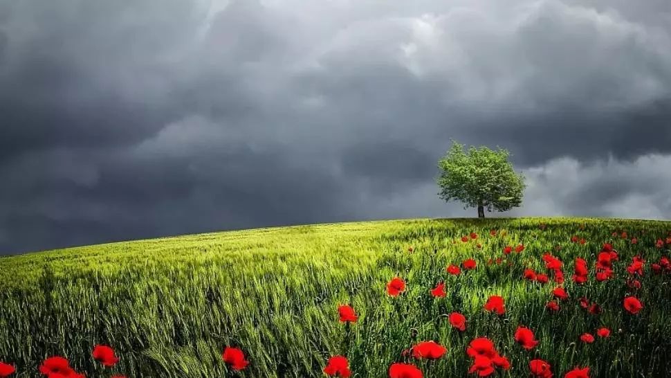 Schimbare radicală a vremii. Prognoza meteo pe o lună