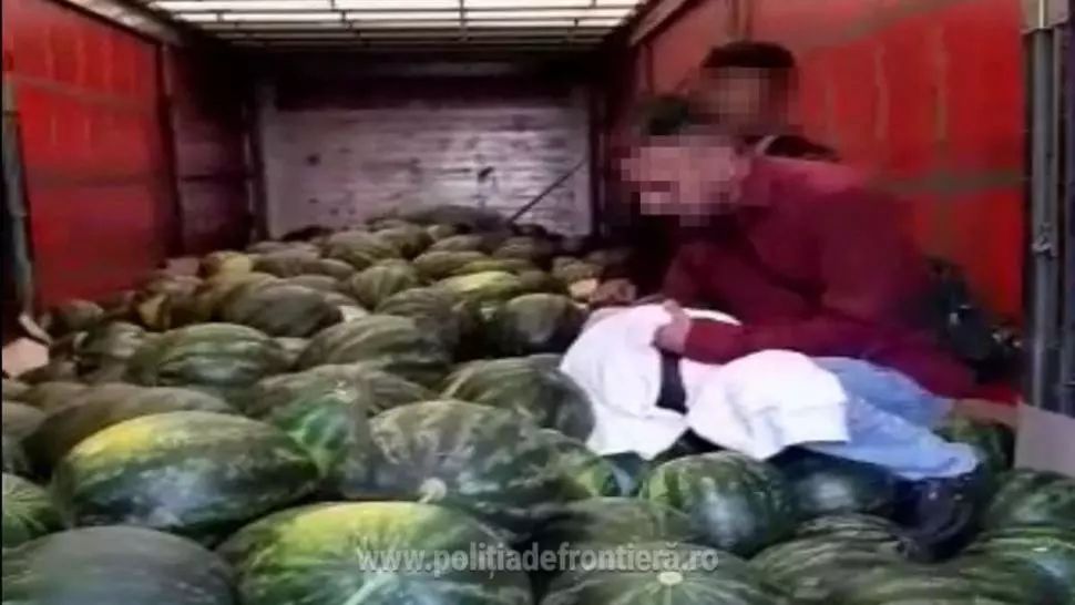 Pakistanezi ascunși într-un camion încărcat cu pepeni, depistați în vreme ce încercau să intre ilegal în țară 