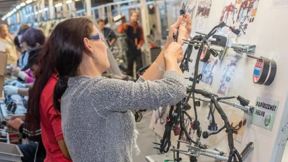 Fabrica de cablaje Valkes disponibilizează 330 de angajați. Pandemia a afectat serios industria