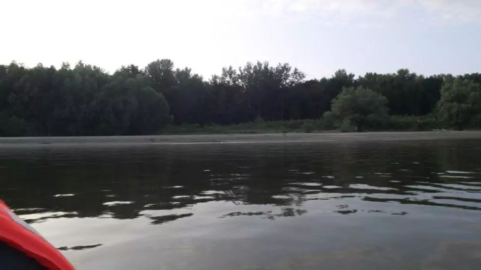 Cadavru găsit plutind pe Dunăre. Martorii spun că ar fi vorba de o femeie