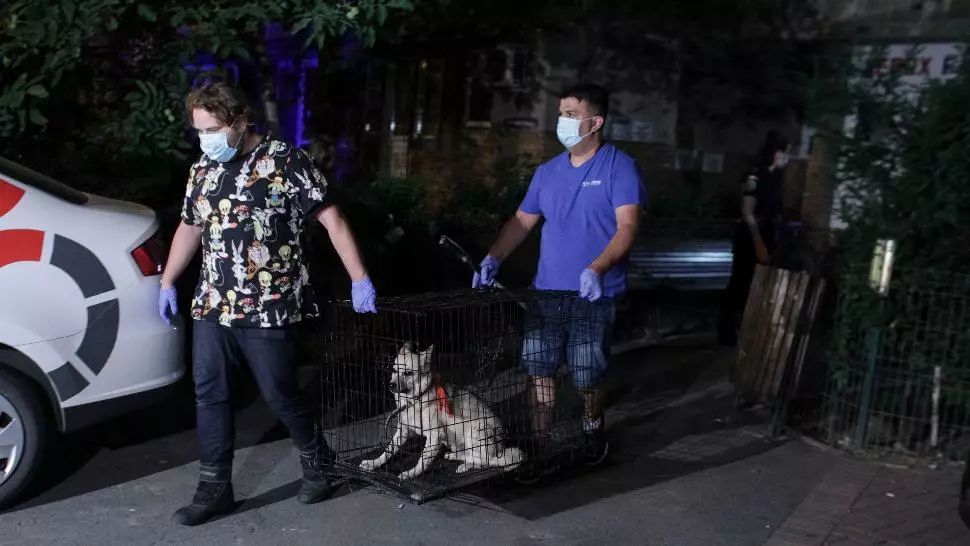 Primele imagini de la casa lui Costin Mărculescu. Ce au ridicat anchetatorii