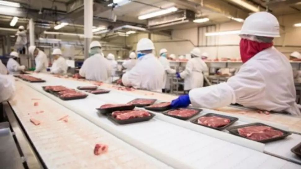 Focar de Covid-19 la un abator din Belgia. Mai mulți români, infectați