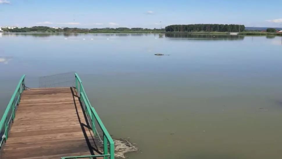Cadavru găsit plutind pe apă, la barajul Tudor Vladimirescu, din Pitești