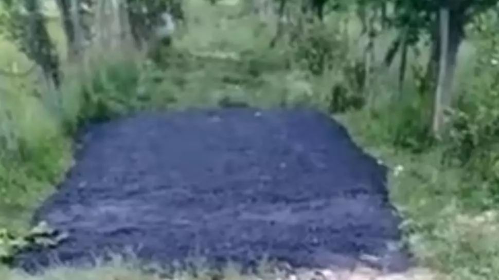 VIDEO Asfaltare în bătaie de joc în Argeș, bitum aruncat direct pe iarbă