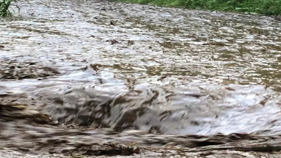 VIDEO + FOTO: Ploile torențiale au făcut ravagii în Bistrița 