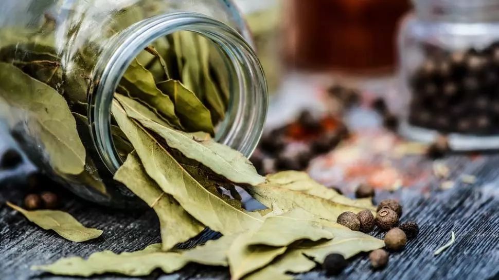 De ce ar trebui să ții o frunză de dafin în portofel. Secretul neștiut al prosperității și al abundenței financiare