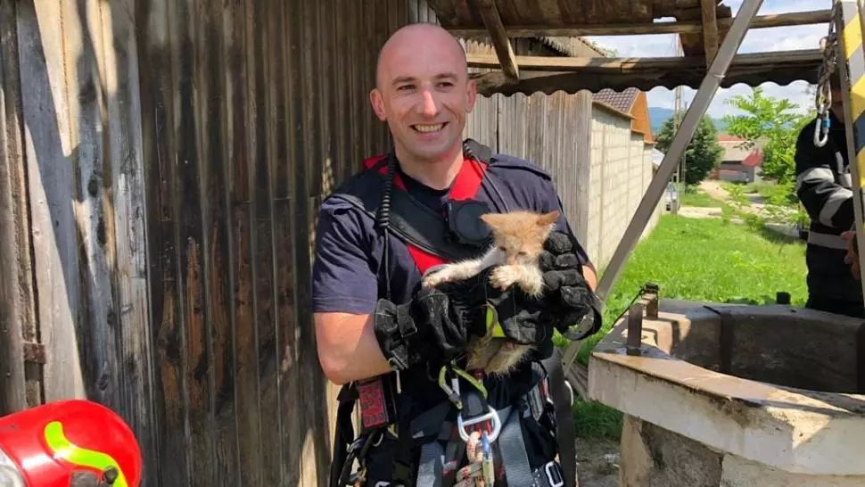 VIDEO Operațiunea de salvare a unui pisoi căzut în fântână. Gestul pompierilor brașoveni