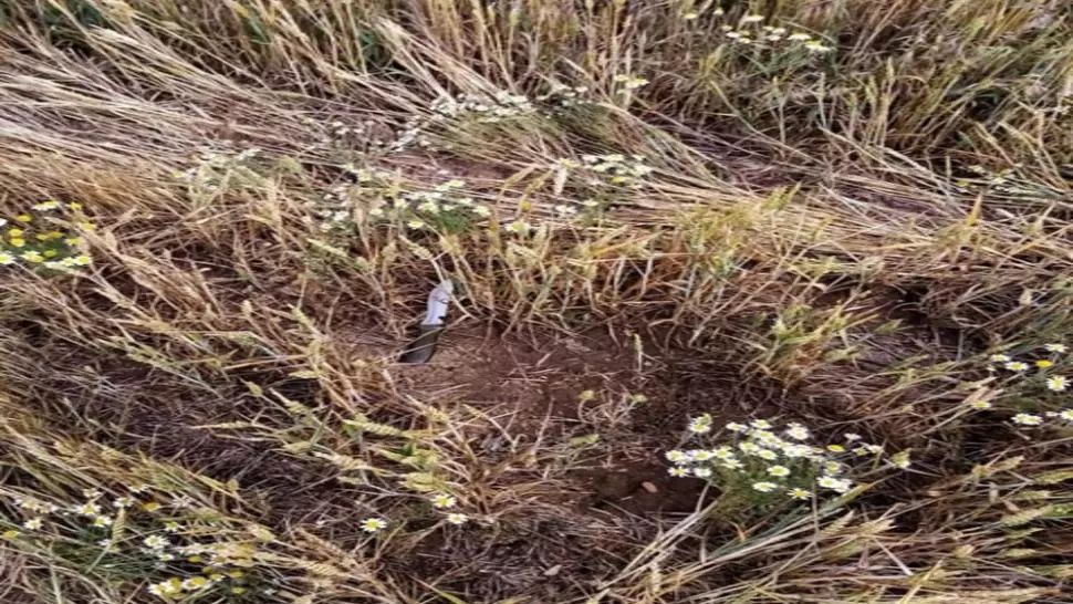 Cum a fost prins criminalul din Giurgiu care și-a ucis iubita. Ce au găsit polițiștiii asupra lui