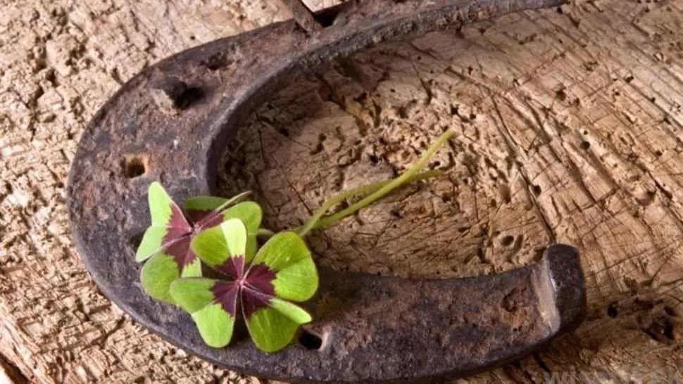 Horoscop 21 iunie. Zodia care trage lozul câștigător. Toate îi merg din plin