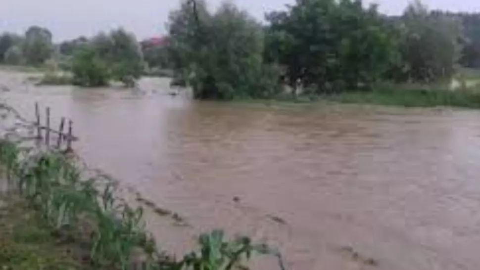 Două pârâuri au ieșit din matcă! 200 de case au rămas IZOLATE sau fără energie electrică