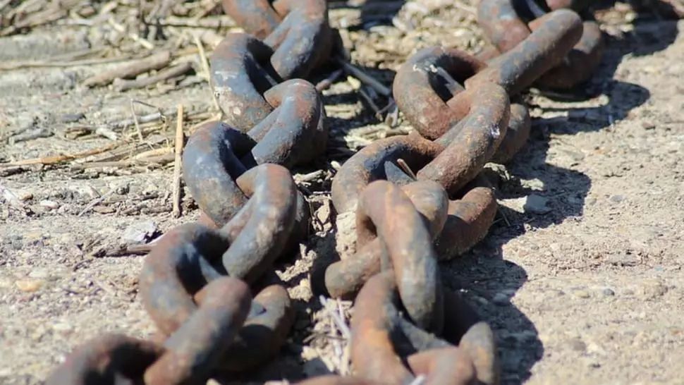 Adolescent pus să omoare cu brutalitate un cățel, filmat și încurajat de un adult