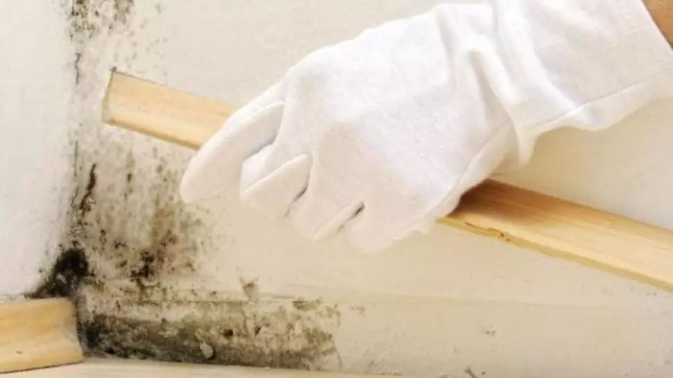 Cum scapi de petele de mucegai de pe perete în mod natural și pentru totdeauna 