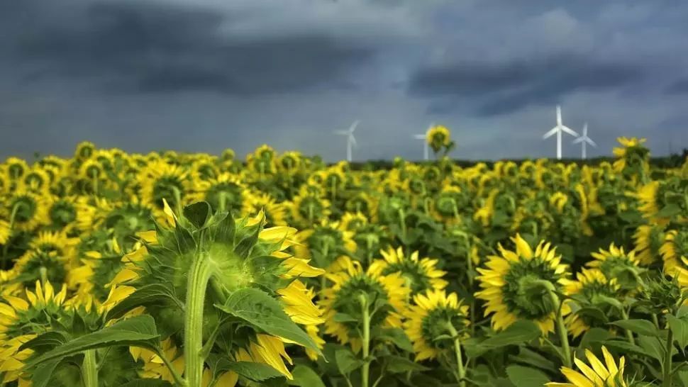 COD PORTOCALIU de fenomene meteo SEVERE: furtuni, ploi torențiale și grindină. HARTA potopului, actualizată