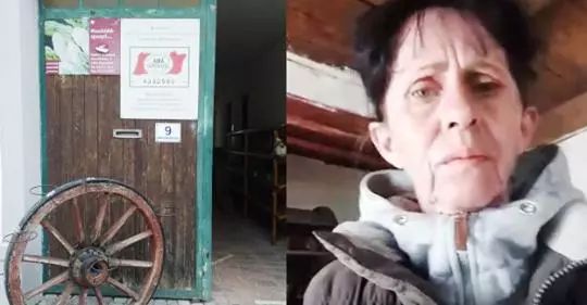 VIDEO Apel disperat: români transformați în SCLAVI, la o fermă de sparanghel din Austria