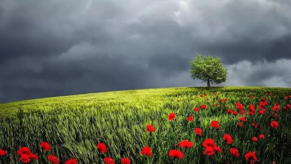 Prognoza meteo o lună. Schimbări dramatice: cum va fi vremea până pe 6 iulie 