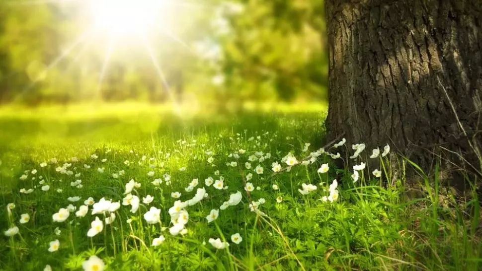 Schimbare spectaculoasă a vremii. Prognoza meteo pe o lună: când revin ploile