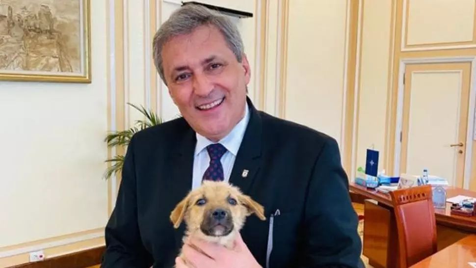 Marcel Vela, anunț despre înființarea Poliției Animalelor la Ministerul de Interne