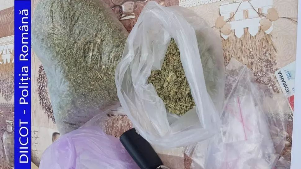 Percheziții DIICOT în Bihor și Maramureș! 15 traficanți de droguri, reținuți