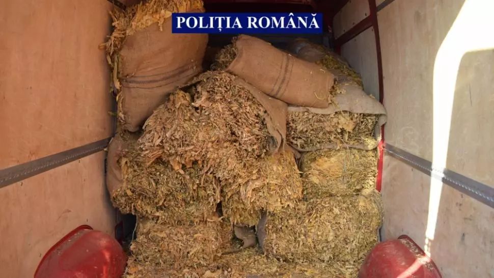 Captură record, în jud. Călărași: 4 tone de tutun din piața neagră, confiscate de polițiști