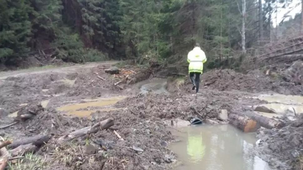 Garda de Mediu Harghita, amenzi de peste 500.000 de lei