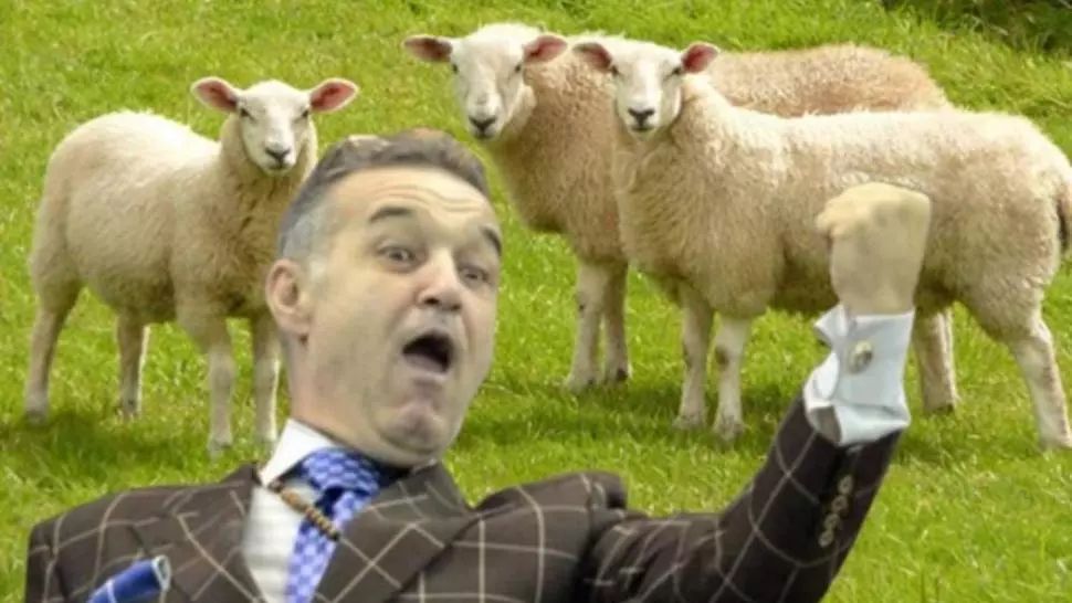 Cererea oltenilor a primit răspuns de la Becali: “Unde ești mă, la muls oile ?”