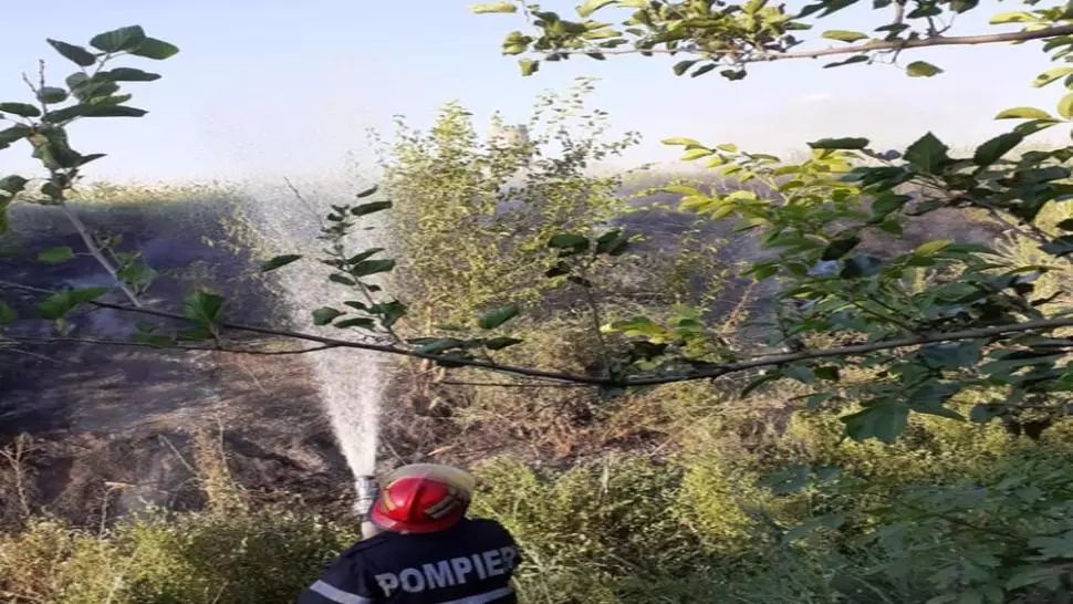Călărași: Incendiu de vegetație uscată la Dragalina. Intervin pompierii