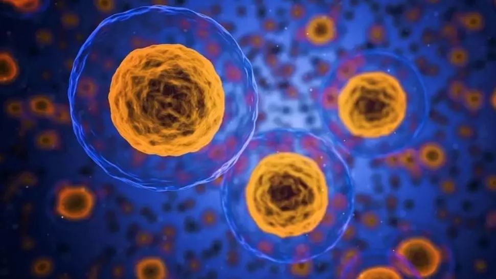 Alimentele care hrănesc celulele canceroase și provoacă inflamații în organism