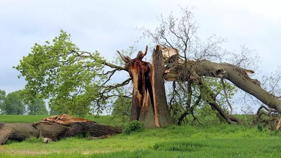 Cod roșu la Arad: spital inundat din cauza ploilor, mașini distruse de copaci rupți de vijelii 