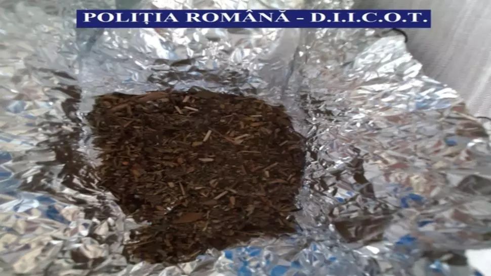 Percheziții la Giurgiu și Constanța, într-un dosar de trafic de droguri. Patru bărbați, reținuți