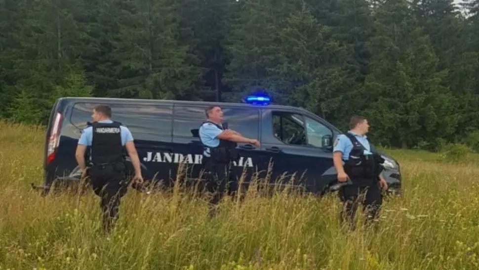 Urșii și-au făcut din nou simțită prezența în județul Harghita. Patru apeluri în ultimele 24 de ore!