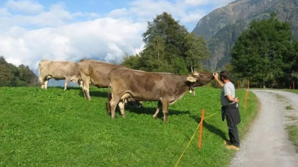 Cum poți obține fonduri europene pentru o fermă de familie (P)