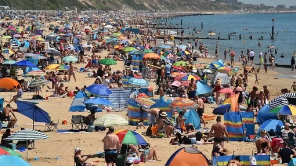 Amenzi de 368.000 de lei în 5 zile în urma controalelor inspectorilor sanitari veterinari pe litoral