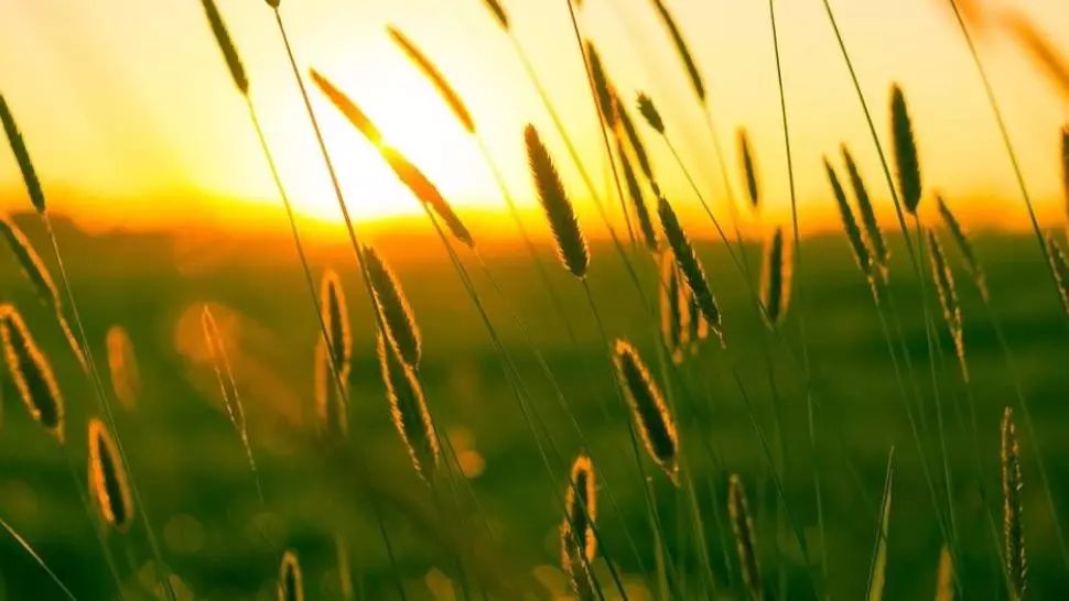 Alertă meteo: cod galben de CANICULĂ și disconfort termic accentuat: temperaturi resimțite de peste 40 de grade