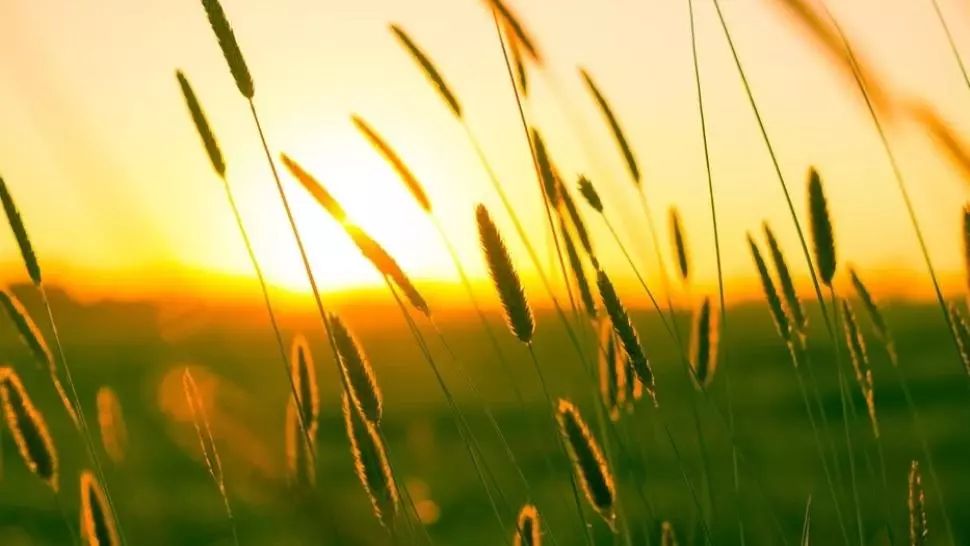 Prognoza meteo o lună. Schimbări radicale: cum va fi vremea până pe 10 august