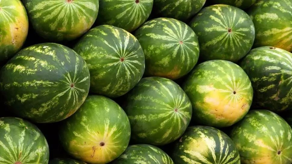 A cumpărat un pepene de la piață. Când l-a tăiat, a avut un șoc: ce a găsit în interior