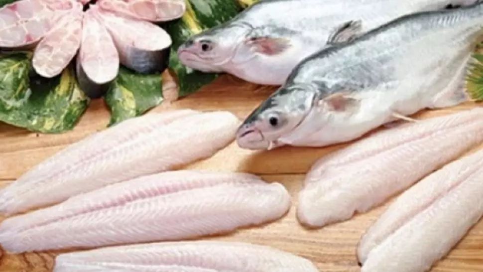 Acest tip de pește îți distruge sănătatea. Și tu îl consumi, fără să știi ce pericol te paște