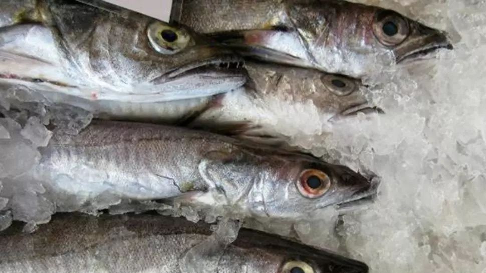 Controale în piețele din Capitală. Amenzi uriașe pentru comercianții de pește 