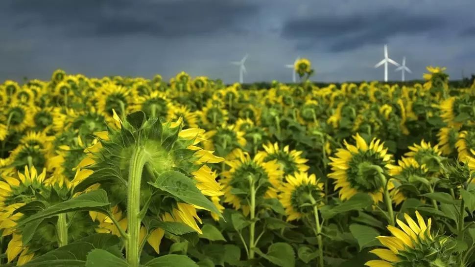 Cod galben de caniculă, cod portocaliu de furtuni. Unde lovesc vijeliile și grindina