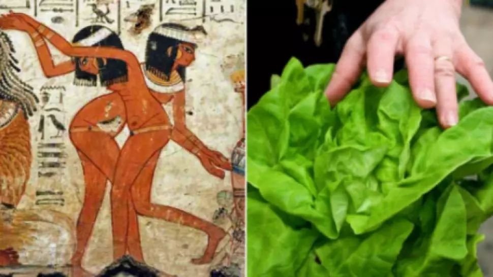 Legătura şocantă dintre salata verde şi sex. Cel mai mare secret al egiptenilor
