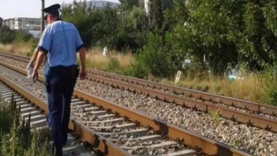 Incident tragic pe calea ferată: Un urs a murit, după ce a fost lovit de tren