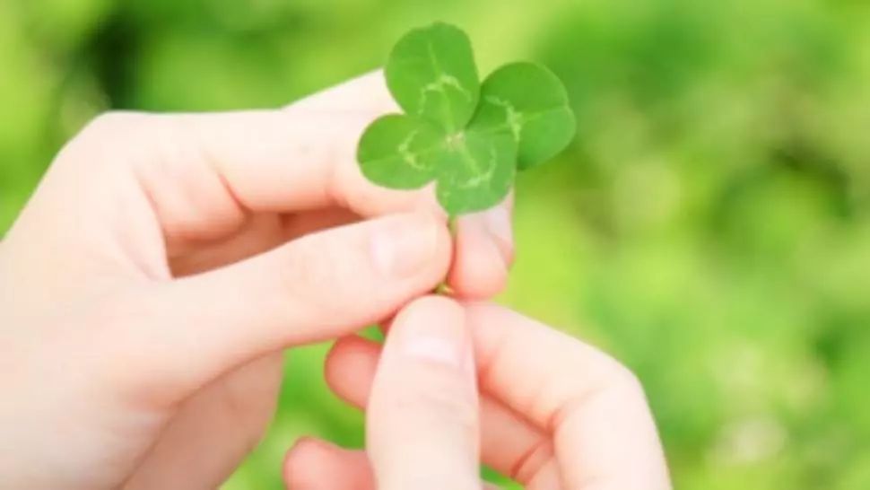 Horoscop 20 iulie. O idee de afaceri prinde contur. Îți dublezi șansele de câștig