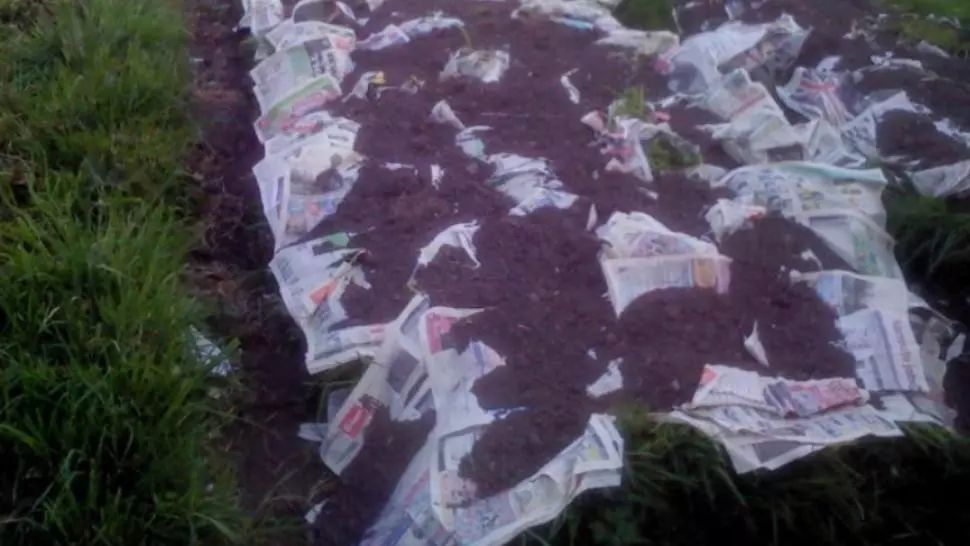 A îngropat ZIARE în pământ. Ce au găsit acolo după câteva săptămâni a șocat